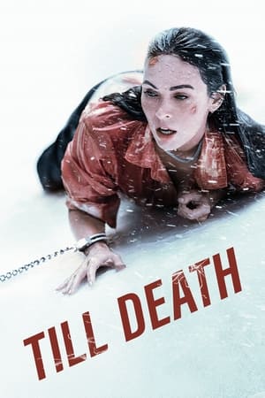 Till Death (2021) Hindi Dual Audio 350MB HD Poster Download - filmyfly