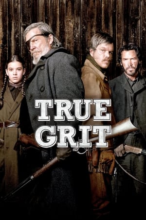 True Grit (2010) Hindi Dual Audio 350MB HD Poster Download - filmyfly