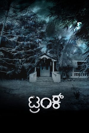 Trunk (2018) (Hindi - Kannada) Dual Audio [1.4GB] HD Poster Download - filmyfly