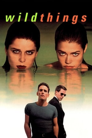 Wild Things (1998) 100mb Hindi Dual Audio Download