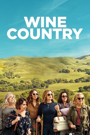 Wine Country (2019) Hindi Dual Audio 350MB HD Poster Download - filmyfly