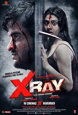 X Ray The Inner Image 2019 Hindi Movie [900MB] HD Poster Download - filmyfly